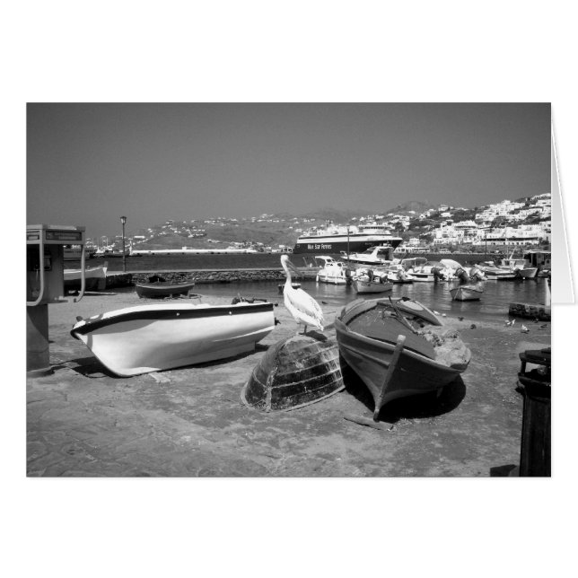 Pelican and Boats (BandW) (Front Horizontal)