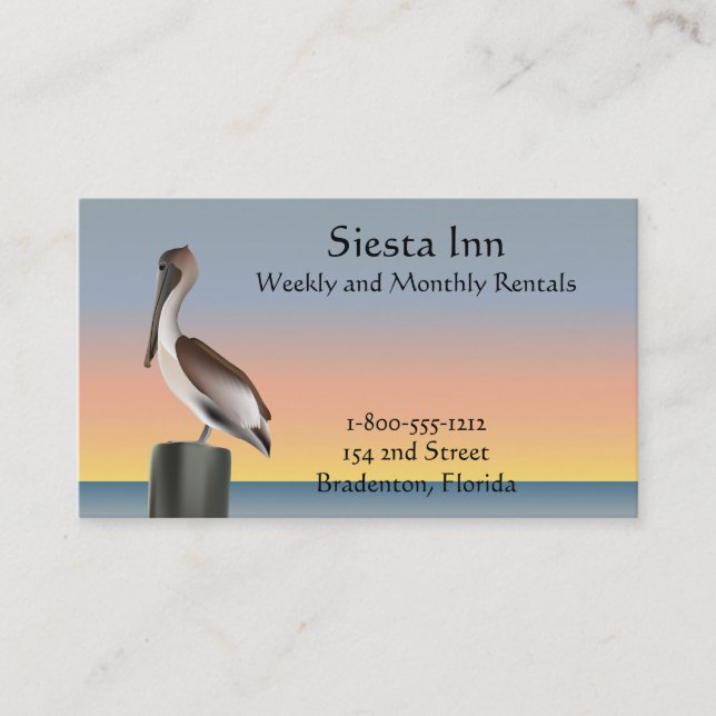 Pelican and Seagull Sunset Business Card (Front)