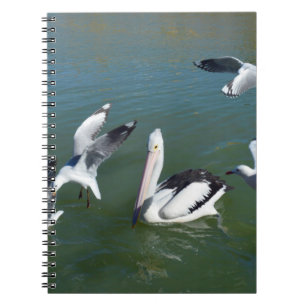 Pelican And The  Gate Crashers,  Notebook