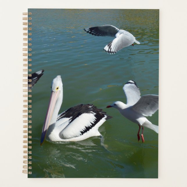 Pelican And The  Gate Crashers,  Planner (Front)