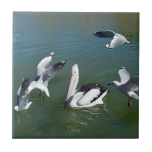 Pelican And The  Gate Crashers,  Tile
