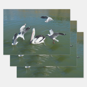 Pelican And The  Gate Crashers,  Wrapping Paper Sheet