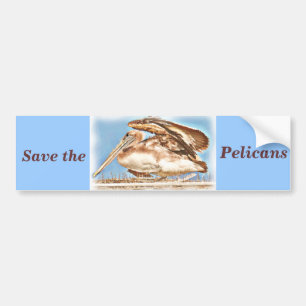 Pelican Awaits_ Bumper Sticker