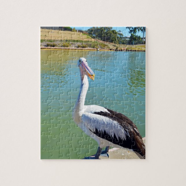 Pelican Back Chat, Jigsaw Puzzle (Vertical)