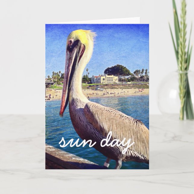 Pelican Beach Bird Photo Sun Day Script Modern Card (Front)
