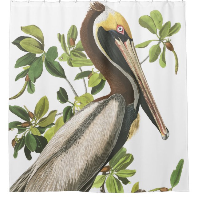 Pelican Bird Audubon Wildlife Shower Curtain (Front)