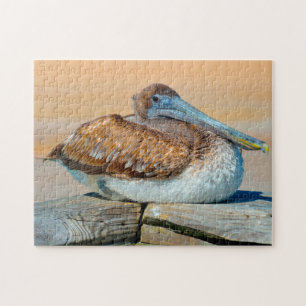 Pelican Bird Florida. Jigsaw Puzzle