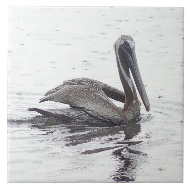 Pelican bird water Ceramic Tile (Front)