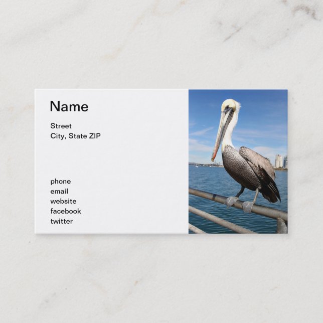 Pelican Business Card (Front)