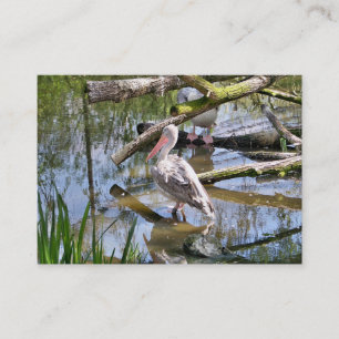 PELICAN BUSINESS CARD