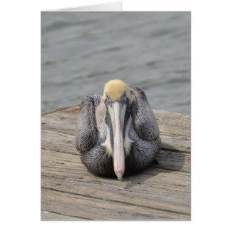 Pelican Card