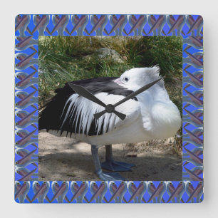 Pelican Cat Napping Standing Up, Square Wall Clock