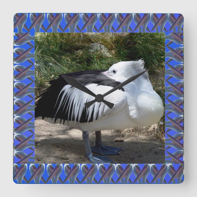 Pelican Cat Napping Standing Up, Square Wall Clock (Front)