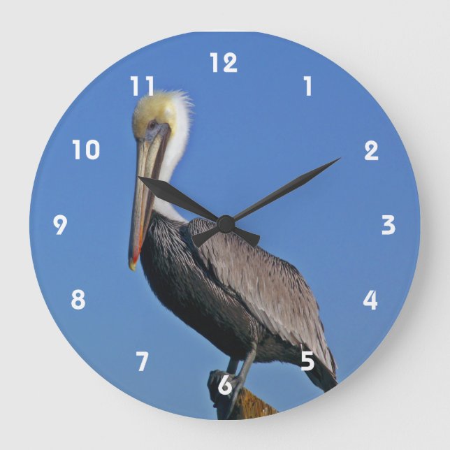 Pelican Clock (Front)