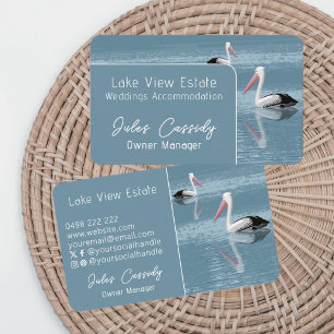 Pelican Couple Paddling on Calm Blue Water Business Card