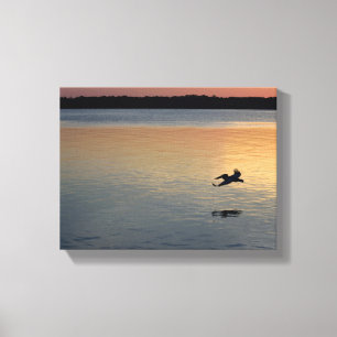 Pelican flying over the river at sunset canvas print