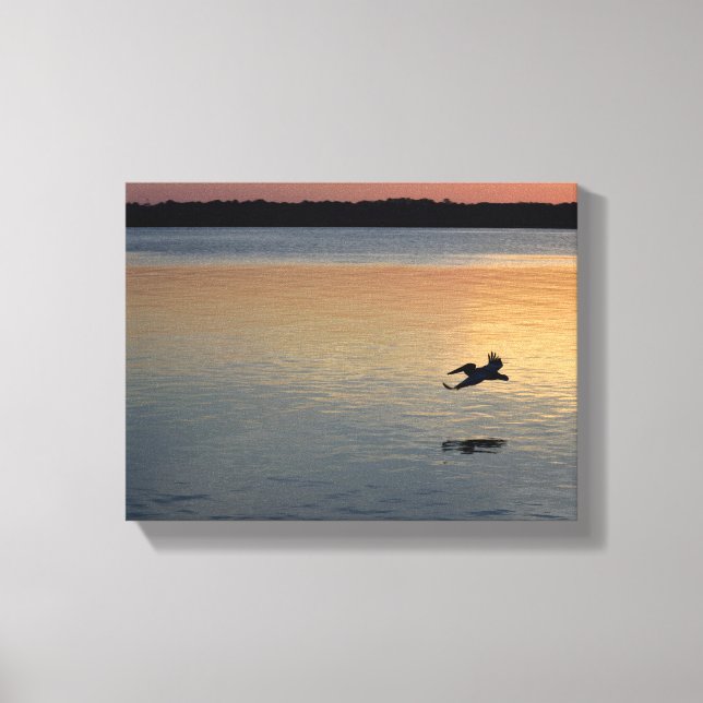 Pelican flying over the river at sunset canvas print (Front)