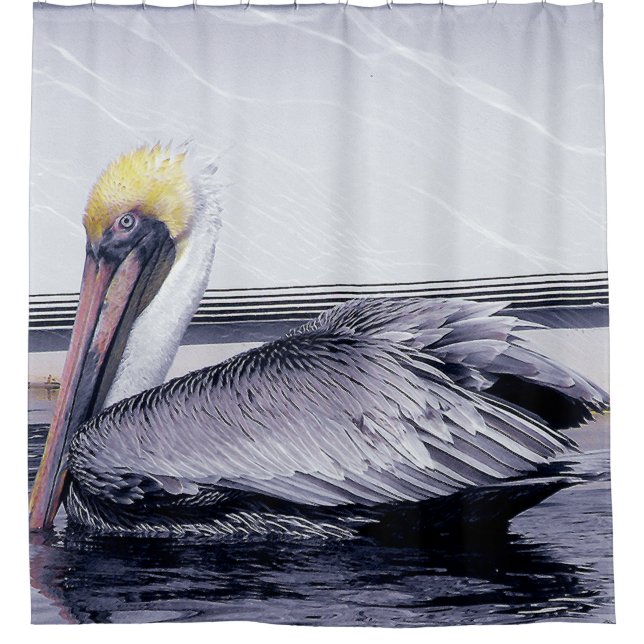 Pelican Gliding Shower Curtain (Front)