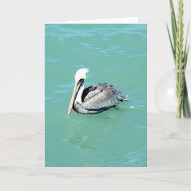 Pelican. Greeting Card (Front)