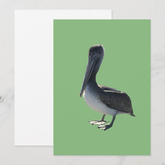Pelican Holiday Card (Front/Back)