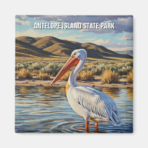 Pelican in Antelope Island State Park Utah Magnet