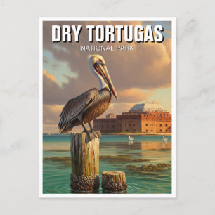 Pelican in Dry Tortugas National Park Postcard