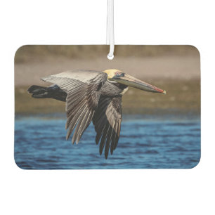 Pelican in flight car air freshener
