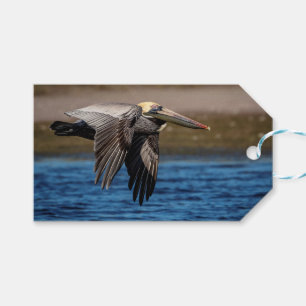 Pelican in flight gift tags