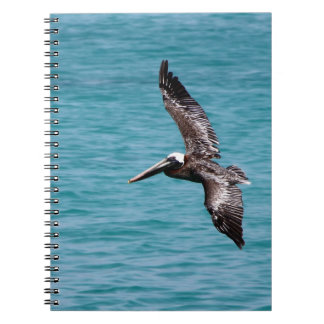 Pelican in flight spiral notebook