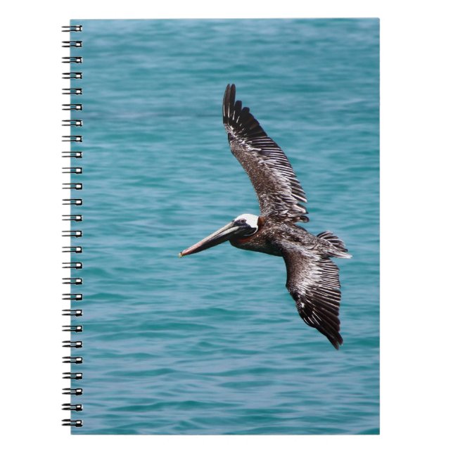 Pelican in flight spiral notebook (Front)