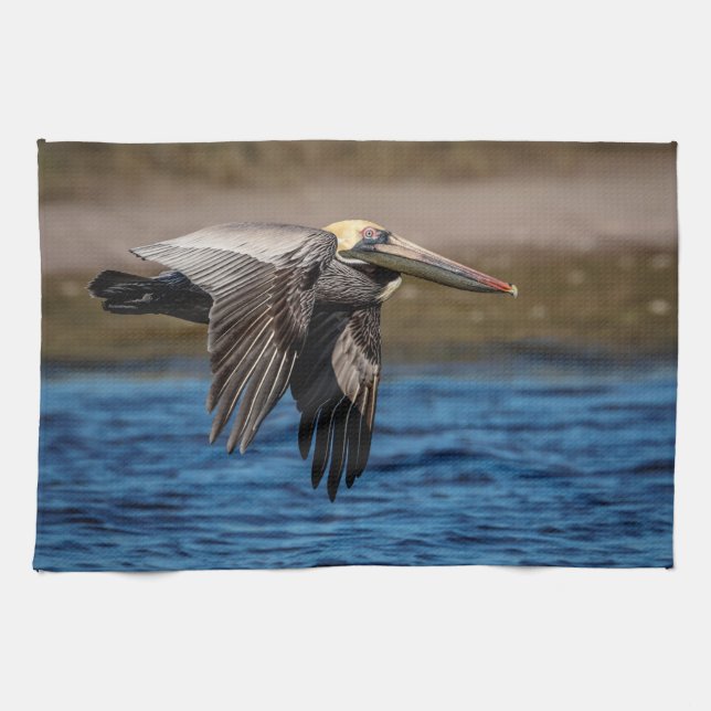 Pelican in flight tea towel (Horizontal)