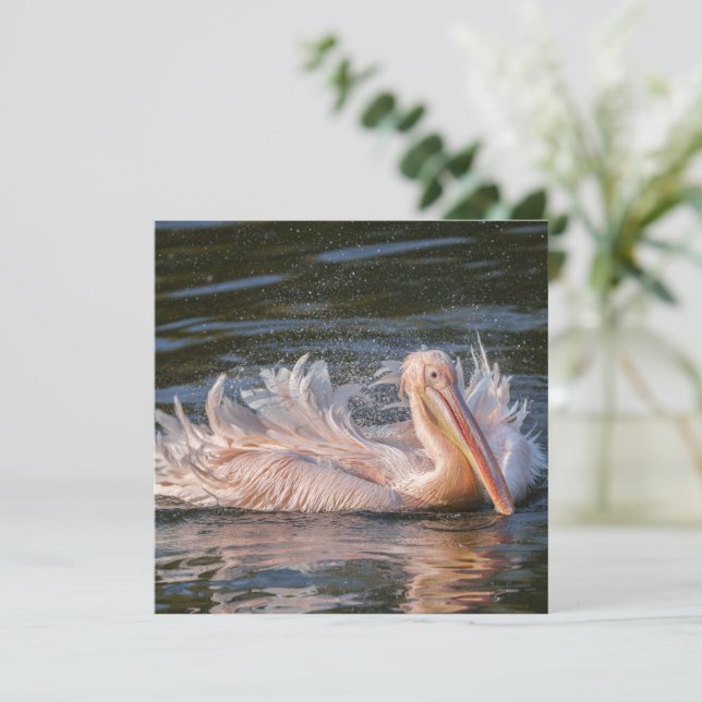 Pelican in Motion (Standing Front)