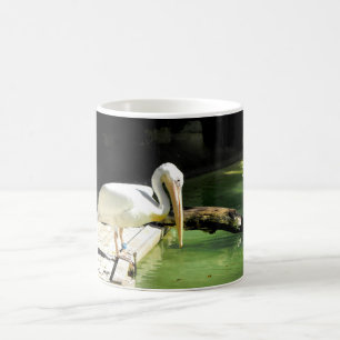 Pelican in Spain Coffee Mug