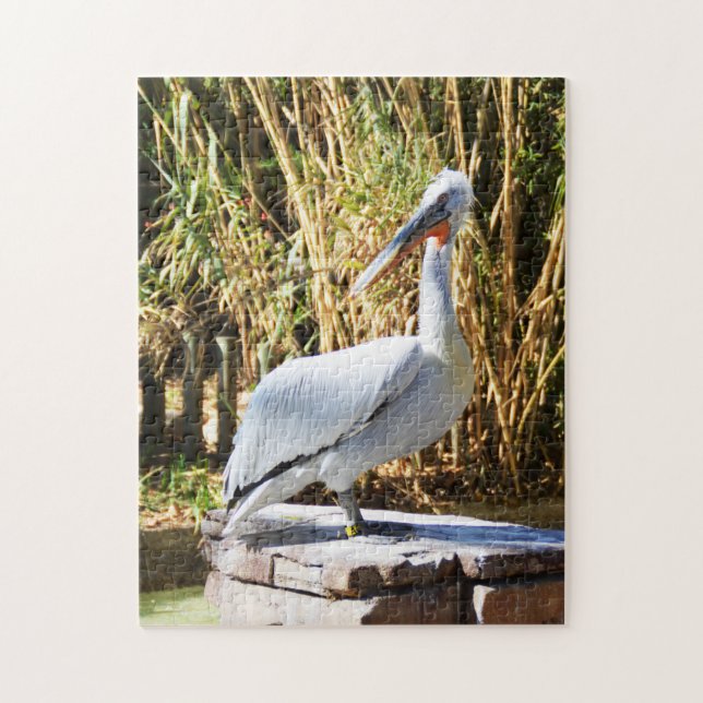 Pelican Jigsaw Puzzle (Vertical)