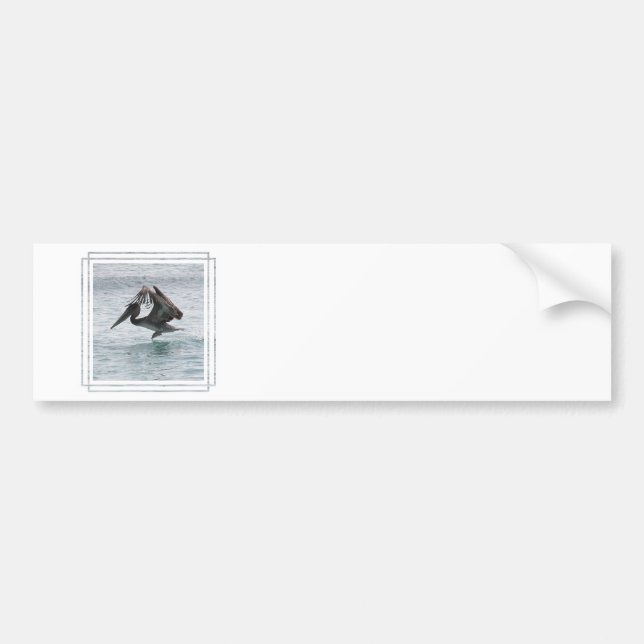 Pelican Landing Bumper Stickers (Front)