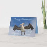 Pelican Love_