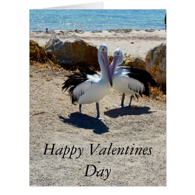 Pelican Love, Valentines Day, Big Greeting Card. (Front)