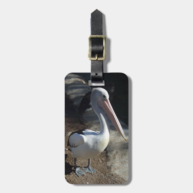 Pelican Luggage Tag (Front Vertical)
