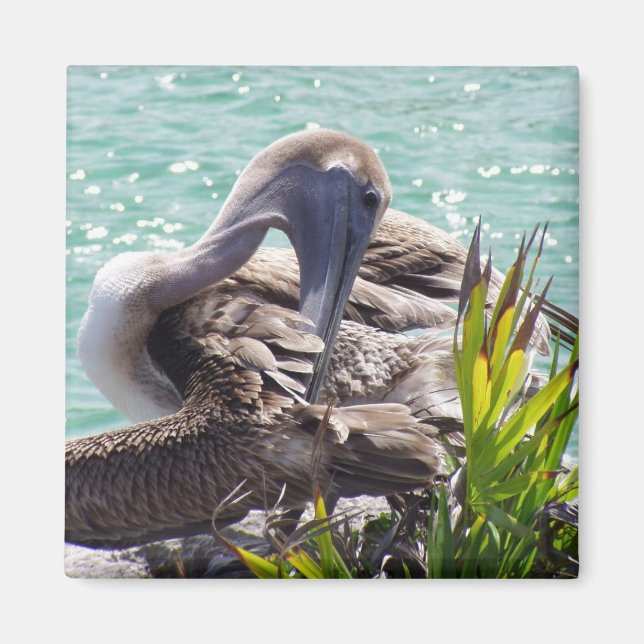 Pelican Magnet (Front)