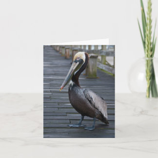 Pelican / Note Card