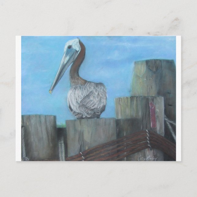 Pelican of Hatteras Ferry Postcard (Front)