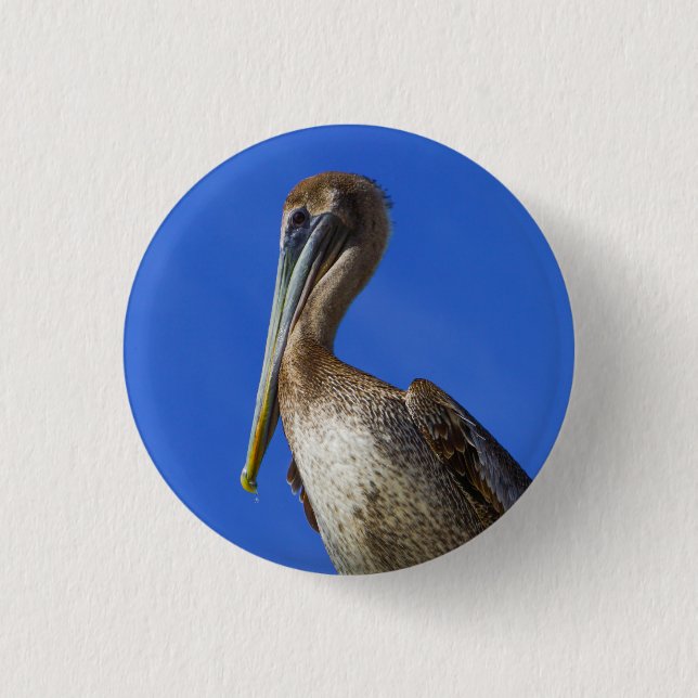Pelican on a limb button (Front)