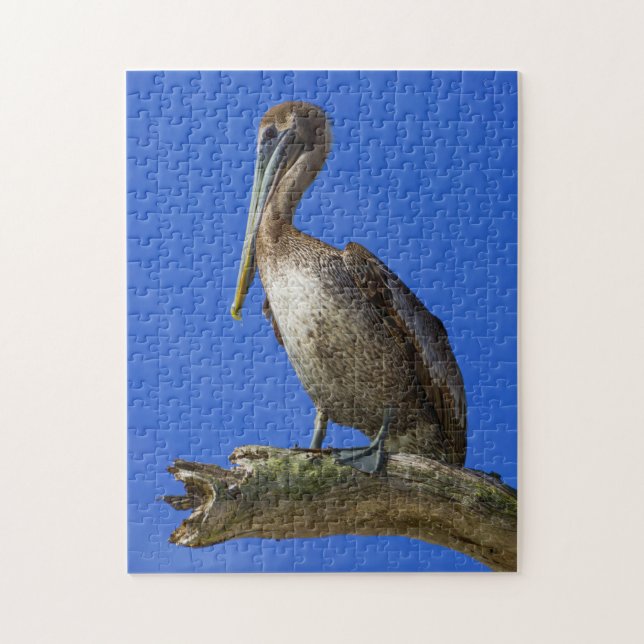 Pelican on a limb jigsaw puzzle (Vertical)