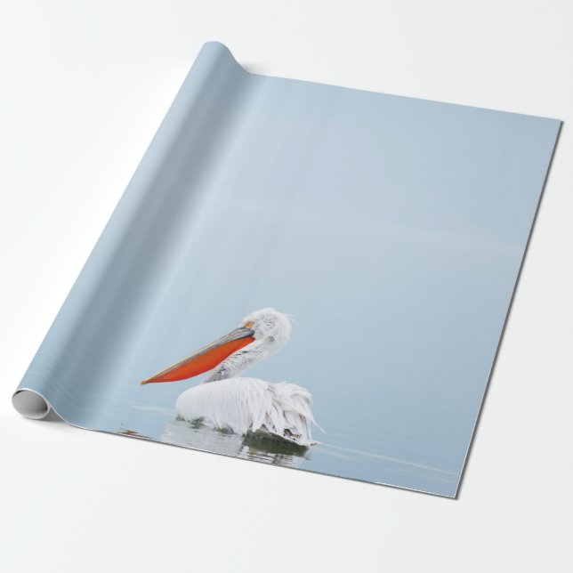 PELICAN ON BLUE WATER WRAPPING PAPER (Unrolled)