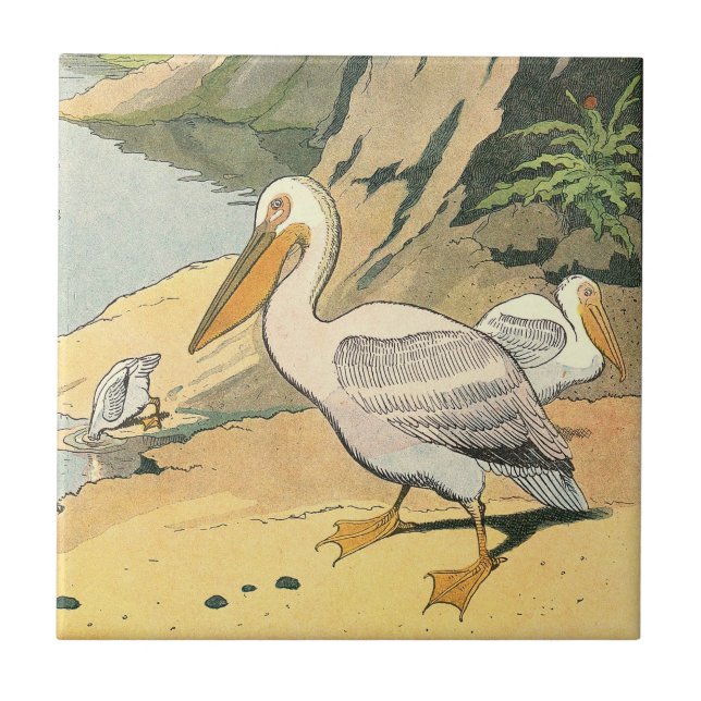 Pelican on the Beach Tile (Front)