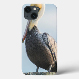 Pelican perched on pylon iPhone 13 case