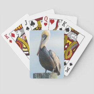 Pelican perched on pylon playing cards