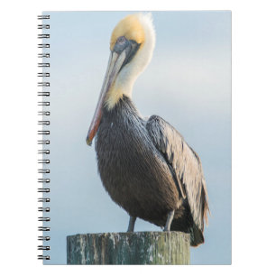 Pelican perched on pylon spiral notebook