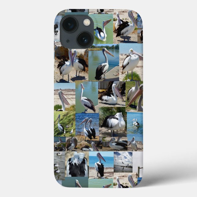 Pelican Photo Collage,  Case-Mate iPhone Case (Back)