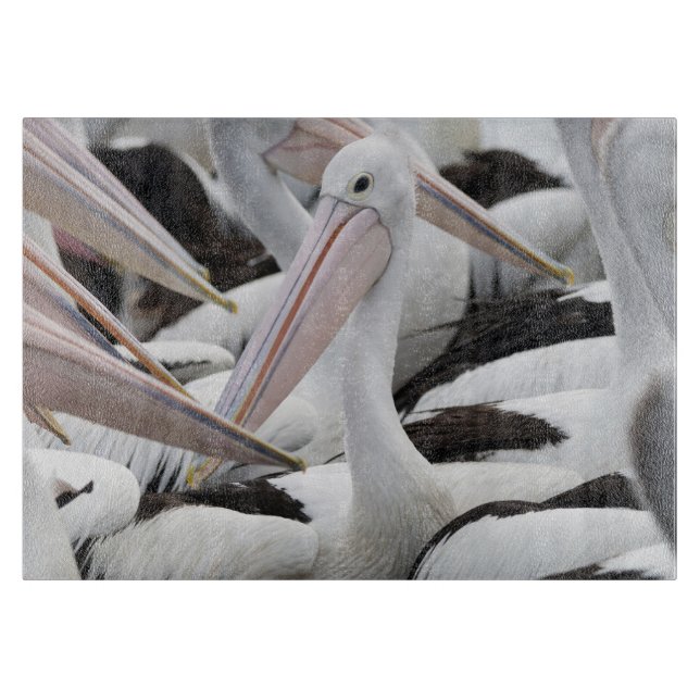 Pelican Pod Cutting Board (Front)